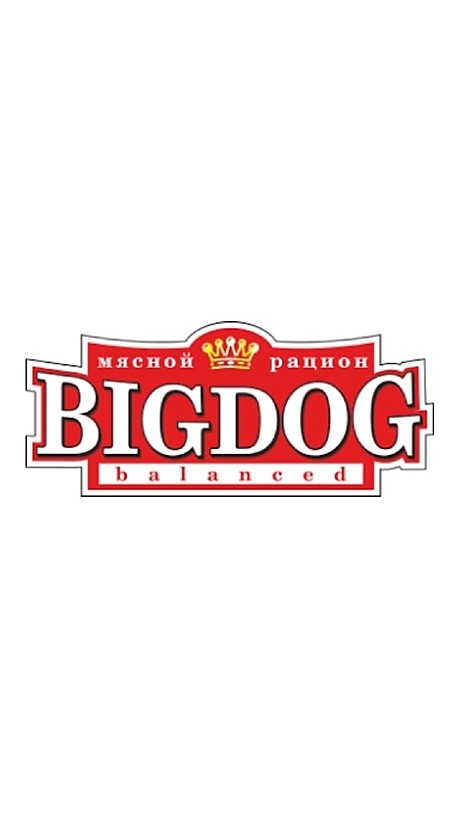 BIG DOG