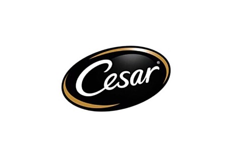 CESAR