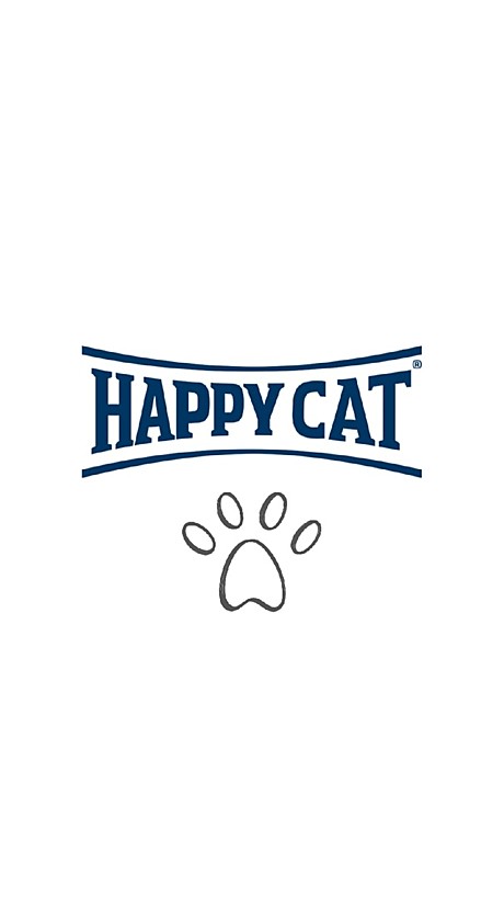 Happy cat