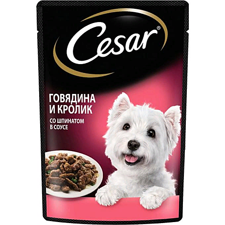 CESAR® (Цезарь)