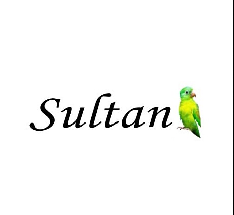 Sultan