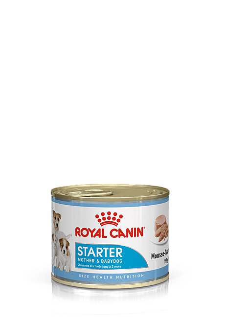 Starter Mousse Dog Can