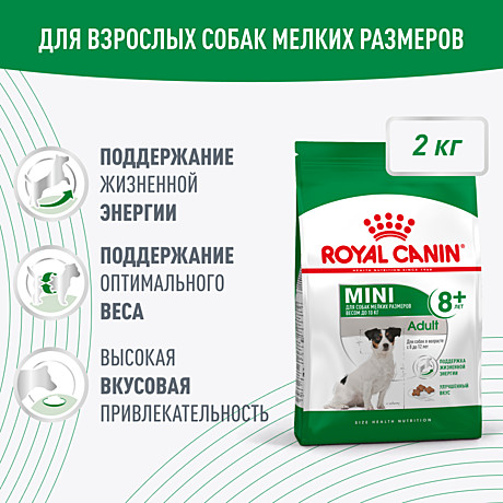 Royal Canin Mini Adult 8+ для взрослых собак мелких размеров (до 10 кг) старше 8 лет.