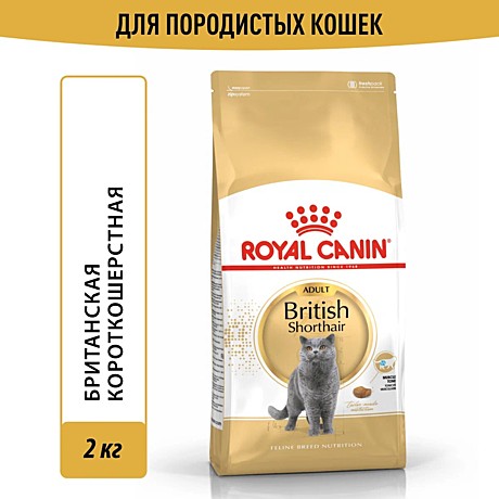 Корм сухой сбалансированный Royal Canin British Shorthair Adult для взрослых британских короткошерстных кошек, 2 кг
