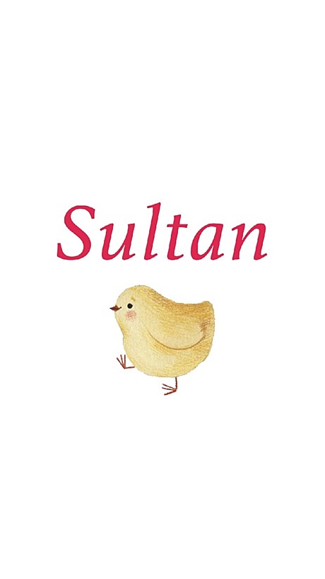 Sultan