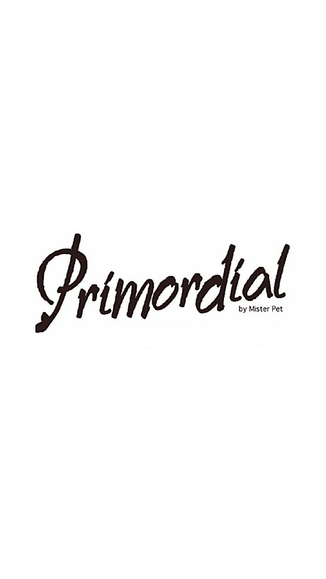 Primordial 